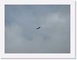 IMG_0416 * 3264 x 2448 * (1.36MB)