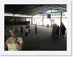IMG_5308 * 3264 x 2448 * (1.89MB)